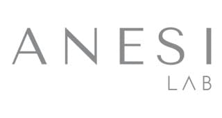 Logo de Anesi